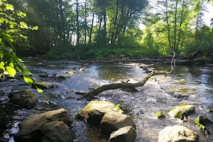 Möhnetal Nature Reserve image