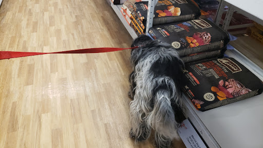 Pet Supply Store «Petco Animal Supplies», reviews and photos, 629 E Dundee Rd, Palatine, IL 60067, USA