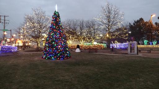Grocery Store «KD Market», reviews and photos, 9500 Irving Park Rd, Schiller Park, IL 60176, USA
