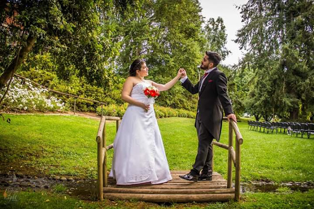 Perfectlight Producciones