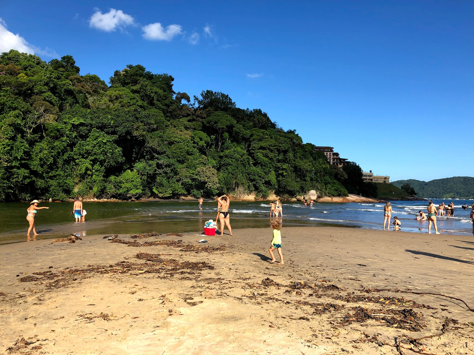 Praia da Mococa photo #8