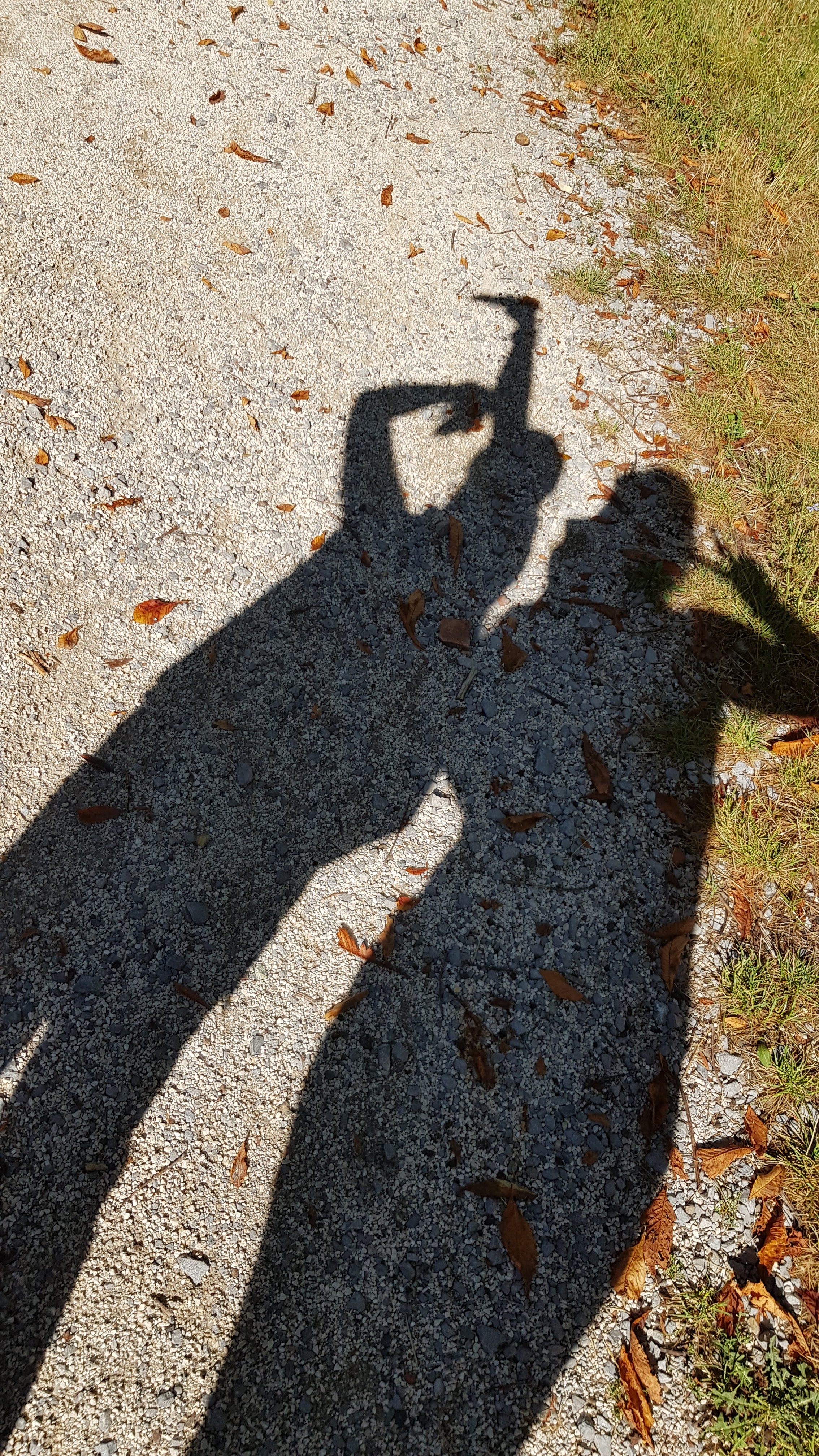 Photo n° 2 de l'avis de F. fait le 17/08/2020 à 14:02