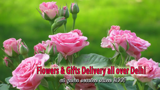 Delhi Online Florists