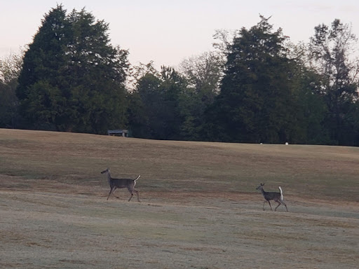 Golf Course «Va Golf Course», reviews and photos, 3400 Lebanon Rd, Murfreesboro, TN 37129, USA