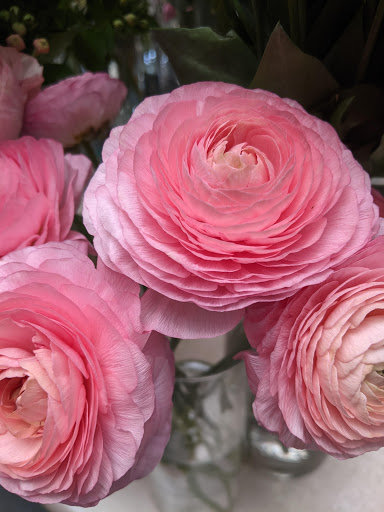 Florist «Flowers By Yukie», reviews and photos, 916 N Union St, Wilmington, DE 19805, USA