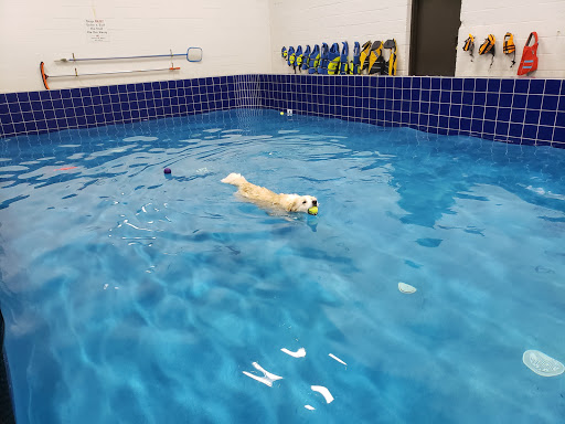 Pet Supply Store «Pet Depot Inc», reviews and photos, 2151 Greenspring Dr, Lutherville-Timonium, MD 21093, USA