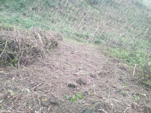 Top 17 cửa hàng elite Huyện Pác Nặm Bắc Kạn 2022