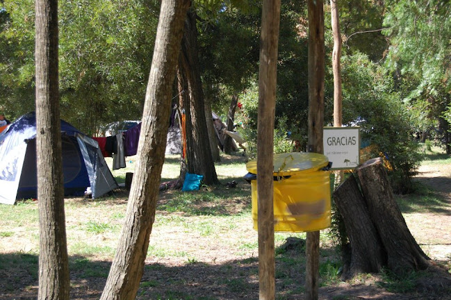 Opiniones de Camping Las Acacias en Río Branco - Camping