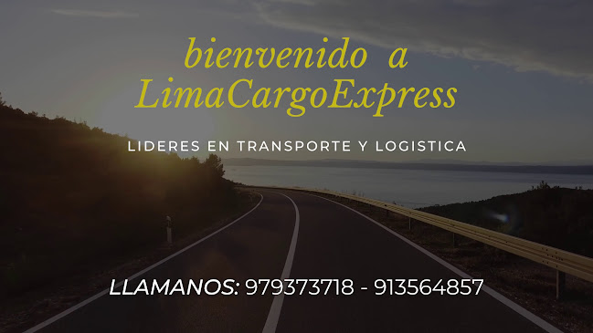 Transportes Lima Cargo Express - Majes