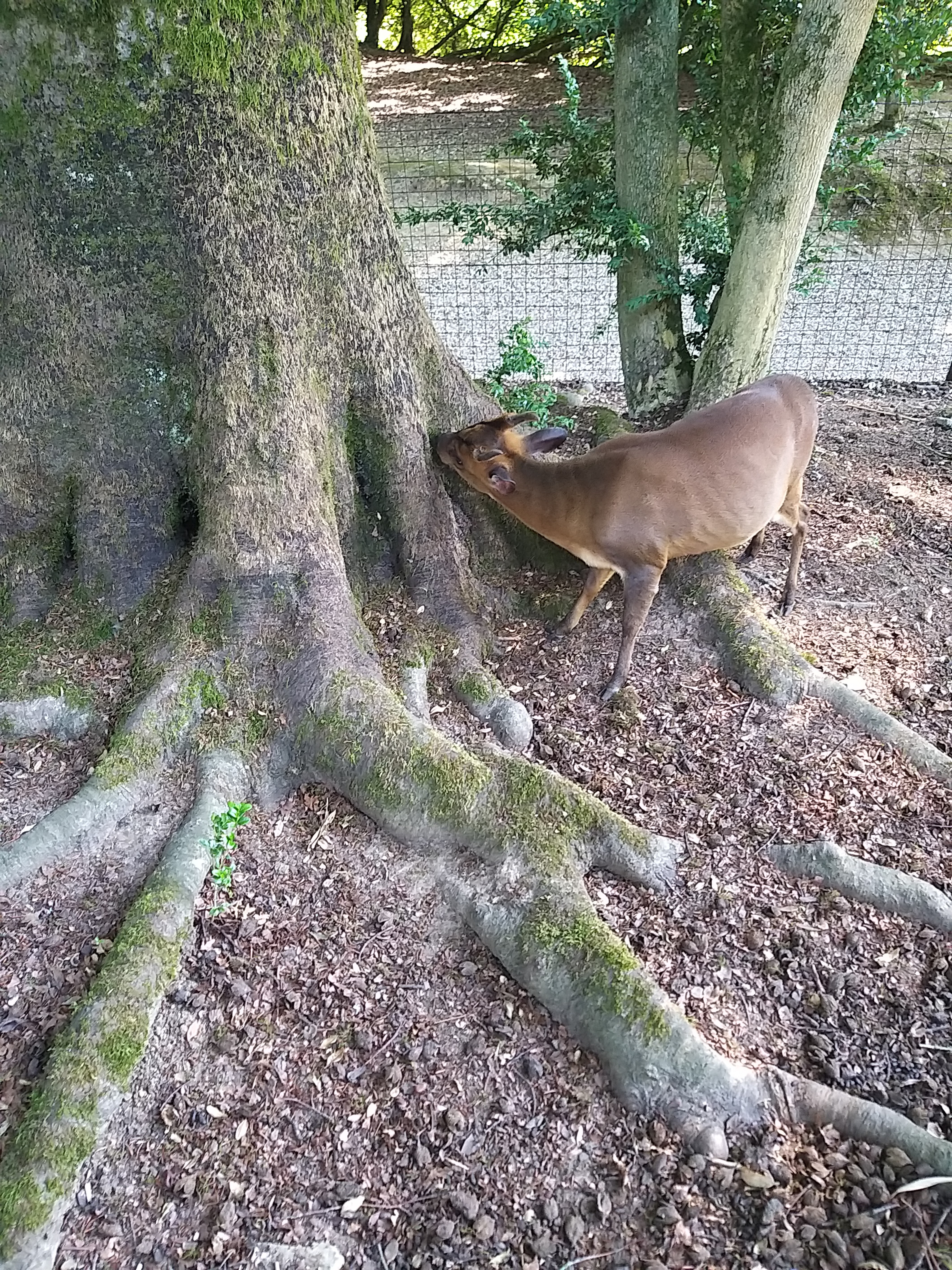 Photo n° 11 de l'avis de Angelique.a fait le 25/08/2019 à 15:14