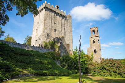 Blarney Castle & Gardens(Gairdíní Chaisleán na Blarnan)
