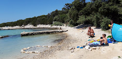 Photo de Boyani beach avec un niveau de propreté de très propre