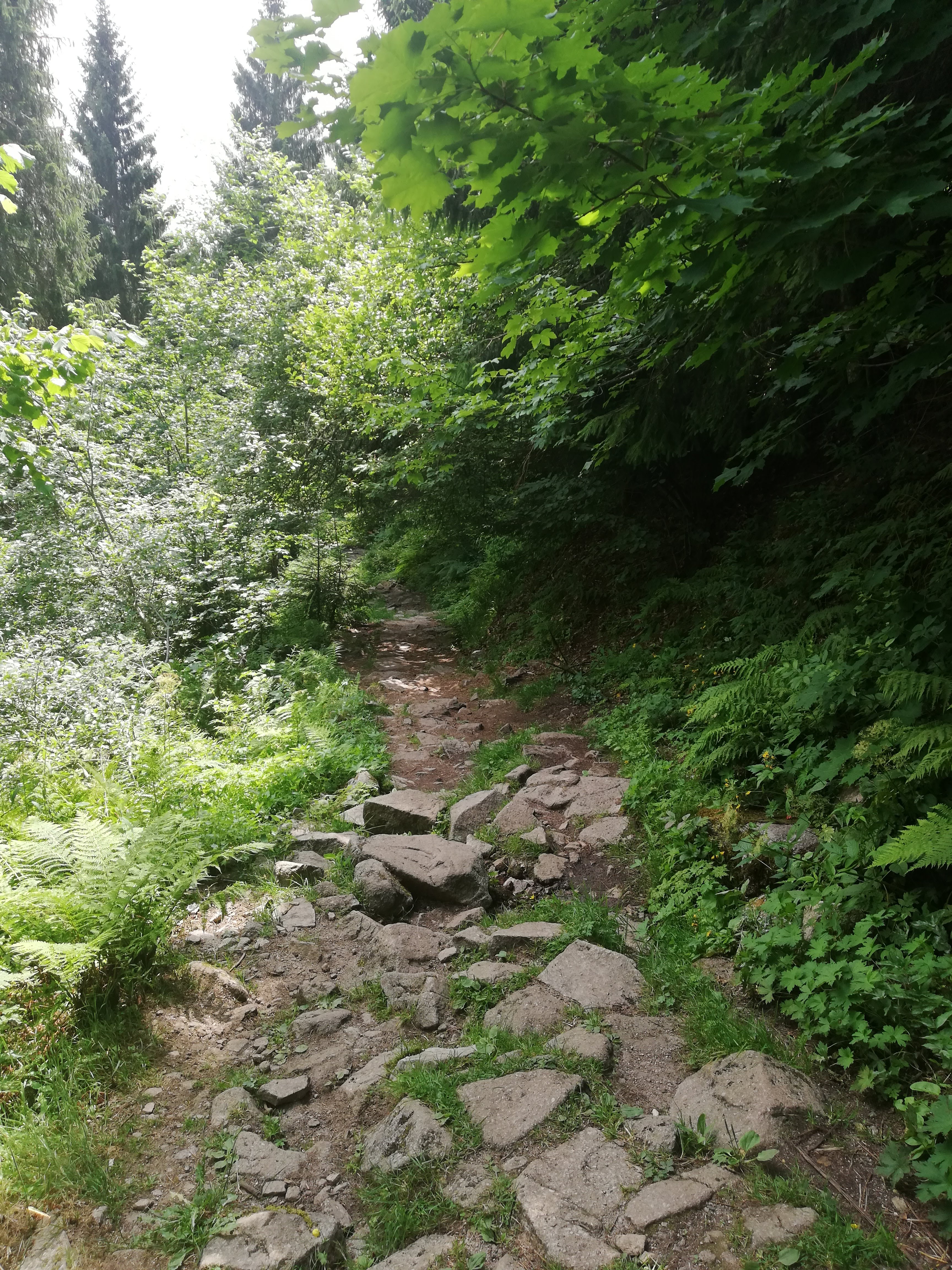 Photo n° 7 de l'avis de E..s fait le 27/07/2019 à 05:10