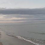 Photo n°17 de l'avis de World.x fait le 11/11/2023 à 14:59 sur le  Toscana Charme Resort à Calambrone