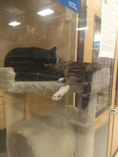 Pet Supply Store «PetSmart», reviews and photos, 5401 N Garland Ave, Garland, TX 75040, USA