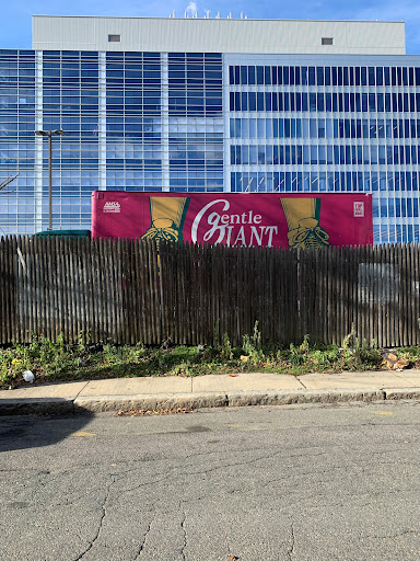 Moving and Storage Service «Gentle Giant Moving Company», reviews and photos, 3827 Barringer Dr, Charlotte, NC 28217, USA