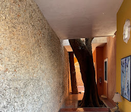 Hotel Hacienda VIP photo