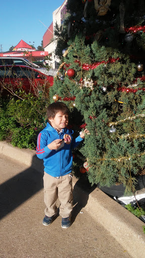 Supermarket «Super Mercado Monterrey Inc», reviews and photos, 510 S SW Loop 323 Ste 300, Tyler, TX 75702, USA