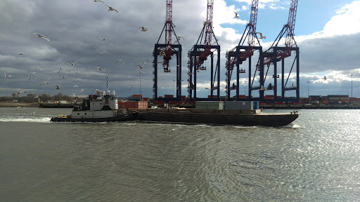 Used Car Dealer «HATT AUTO SALES», reviews and photos, 51 Elizabeth Ave, Elizabeth, NJ 07206, USA