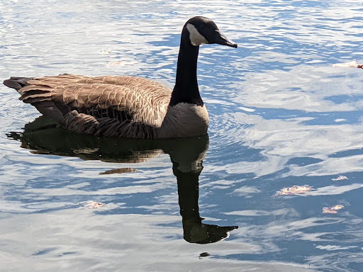 State Park «Breakheart Reservation», reviews and photos, 177 Forest St, Saugus, MA 01906, USA