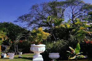 Arcadia Gardens Jamaica image