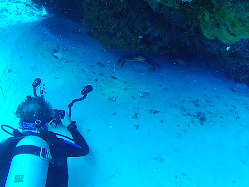 SCUBA Instructor «Bottoms Up Scuba Indy», reviews and photos, 310 Park Ave, Bargersville, IN 46106, USA