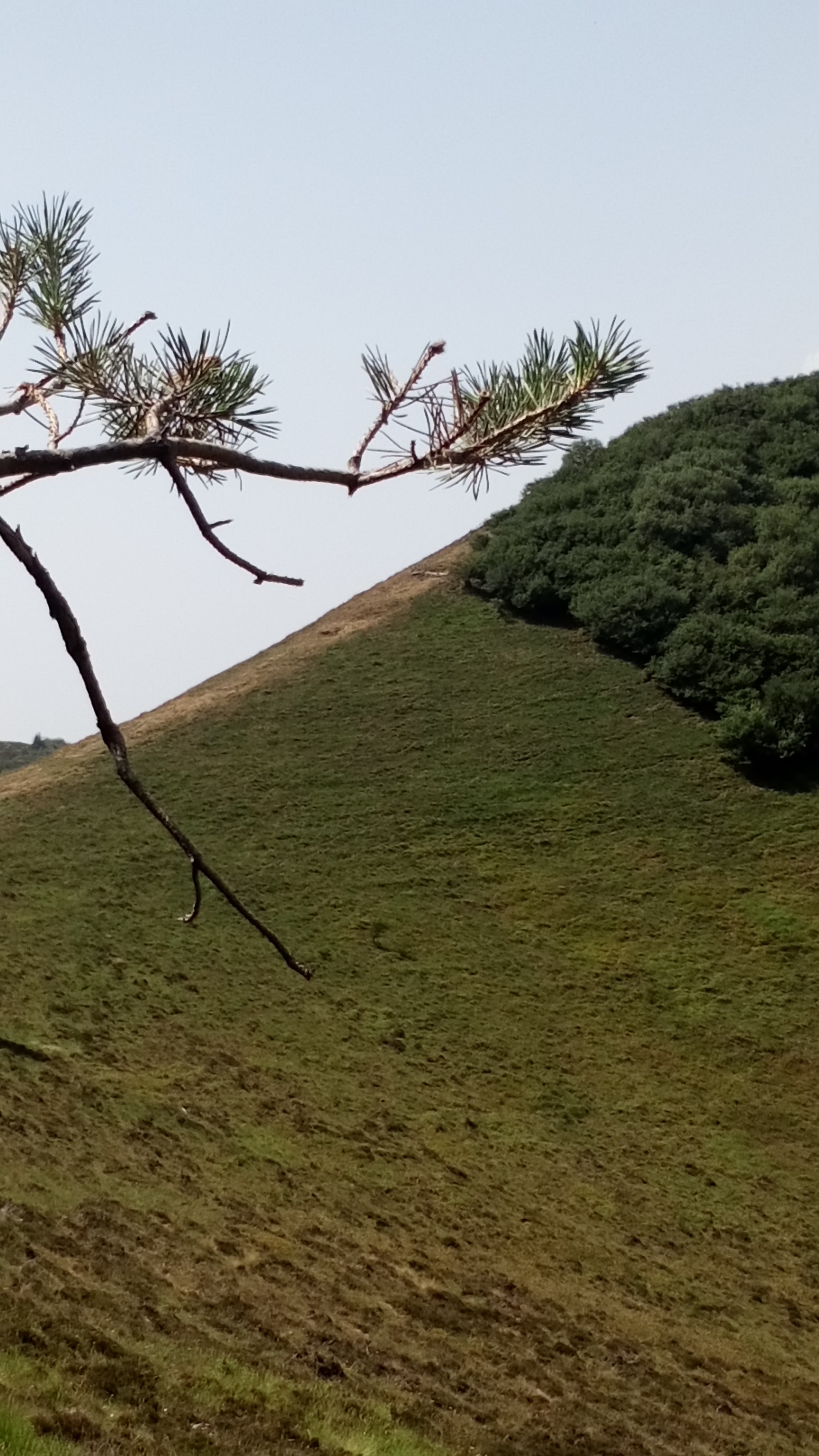 Photo n° 3 de l'avis de Carine.a fait le 23/07/2019 à 20:16