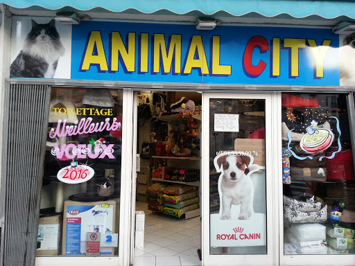 Animal City & Co