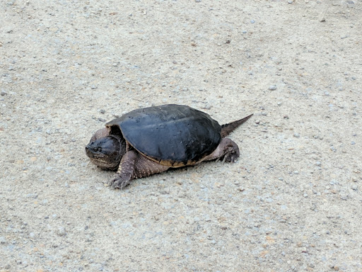 Park «Oxbow Park & Zollman Zoo», reviews and photos, 5731 County Rd 105 NW, Byron, MN 55920, USA