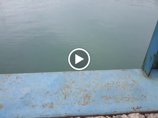 Bar & Grill «The Casino», reviews and photos, 104 Division St, Kelleys Island, OH 43438, USA