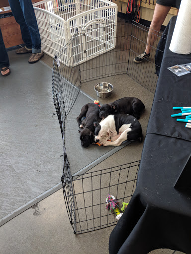 Pet Supply Store «Mud Bay», reviews and photos, 2540 NW 188th Ave, Hillsboro, OR 97124, USA