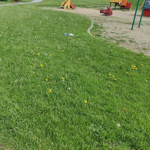 Skateboard Park «Anderson Water Park», reviews and photos, 1830 Fordney St, Saginaw, MI 48601, USA