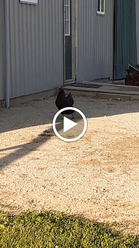 Campground «Hickory Hills Campground», reviews and photos, 499 Dixie Hill Rd, Spencer, IN 47460, USA