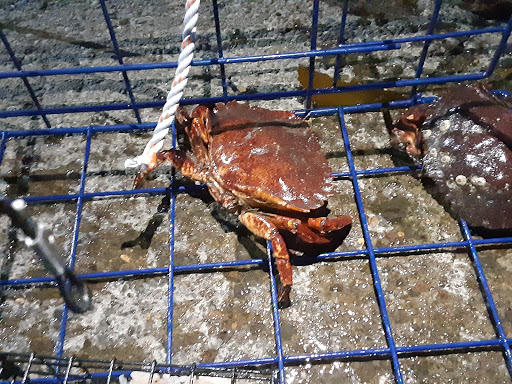 Resort «Embarcadero Resort Hotel & Marina», reviews and photos, 1000 SE Bay Blvd, Newport, OR 97365, USA