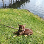 Photo n°11 de l'avis de Paolo.a fait le 05/06/2021 à 20:33 sur le  Trattoria da Giggetto à Gradoli