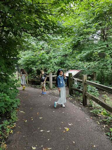 Learning Center «Trailside Museum of Natural History», reviews and photos, 738 Thatcher Ave, River Forest, IL 60305, USA
