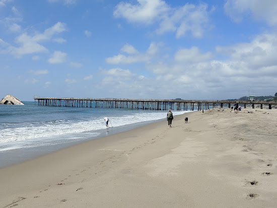 Seacliff Beach