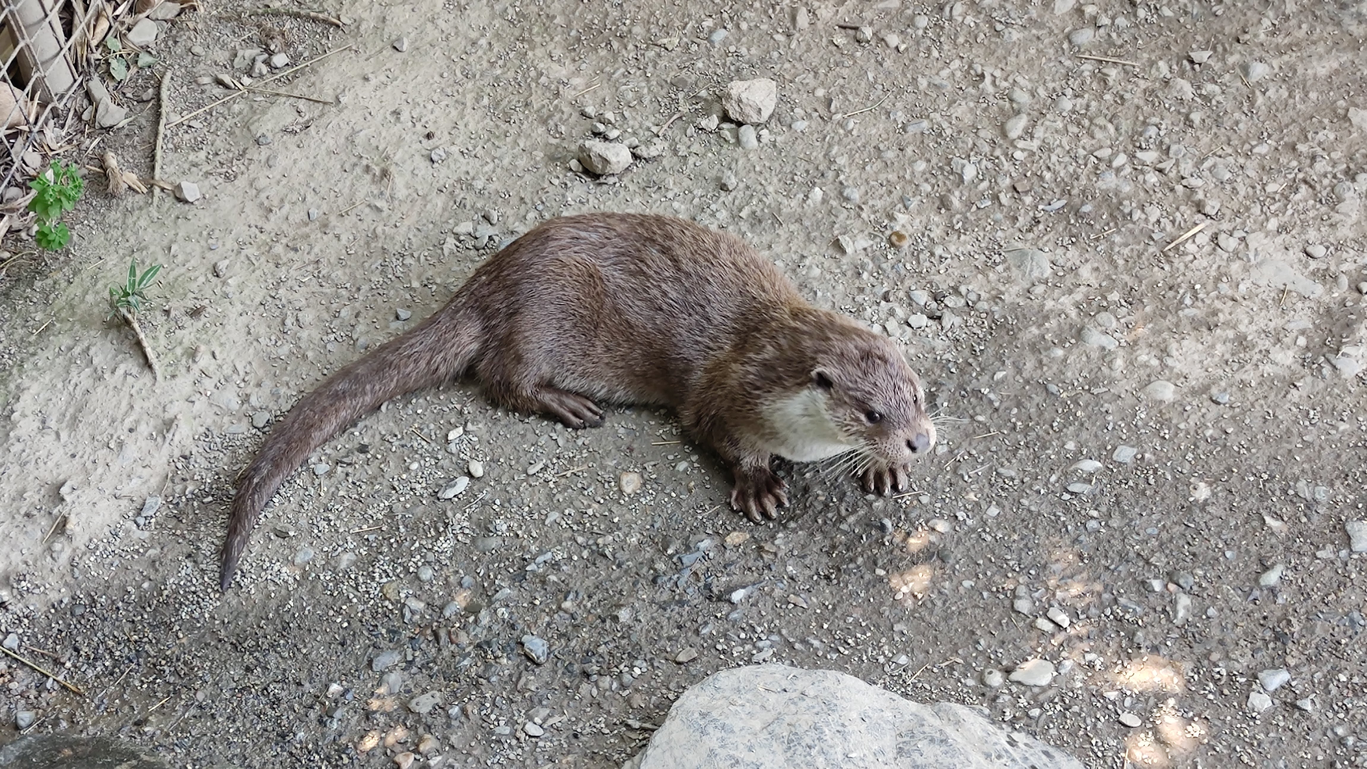 Photo n° 3 de l'avis de Gilles.0 fait le 26/09/2021 à 19:54