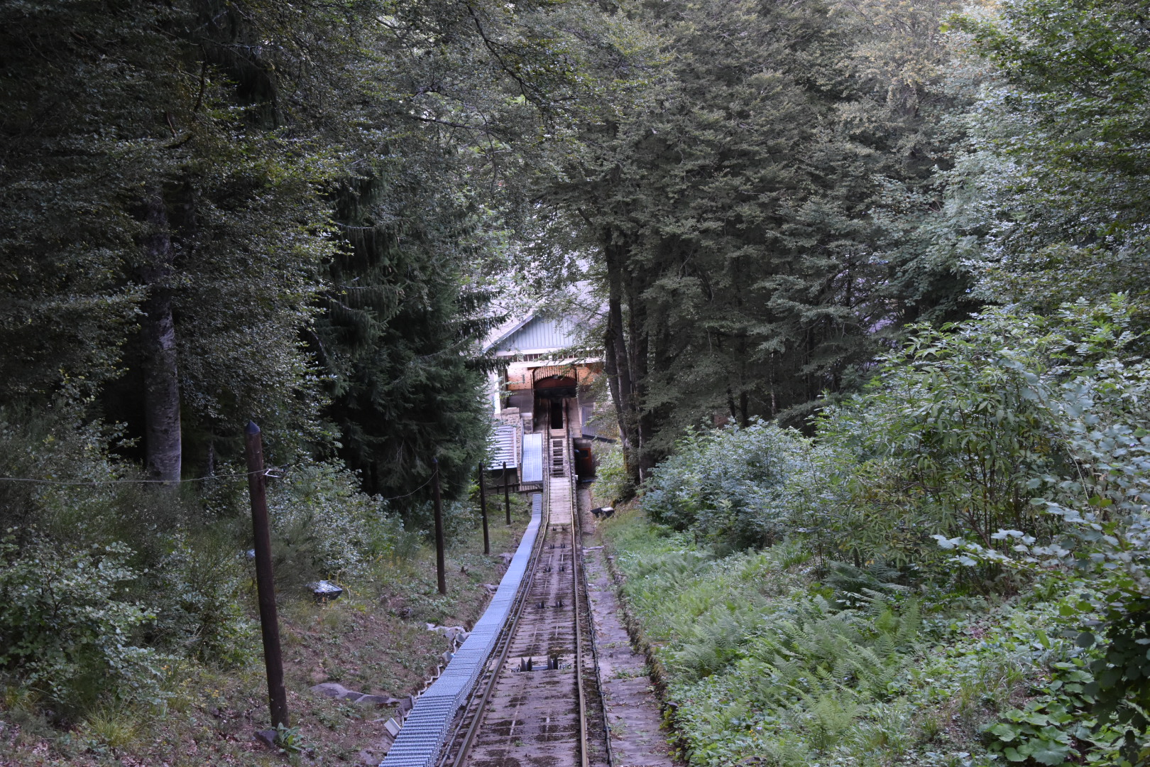 Photo n° 2 de l'avis de loic.4 fait le 26/08/2019 à 14:04