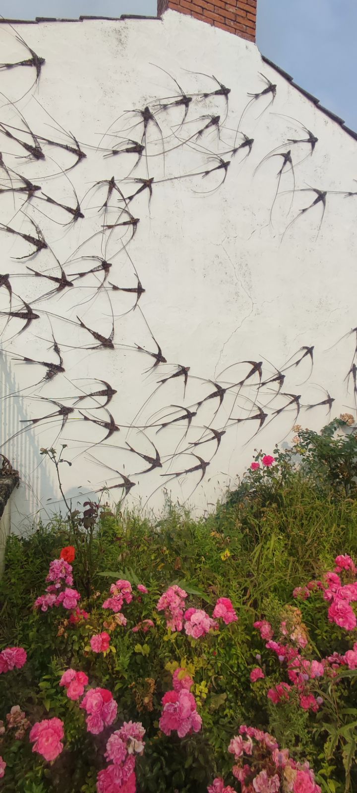 Photo n° 7 de l'avis de Maryline.a fait le 29/08/2023 à 19:52