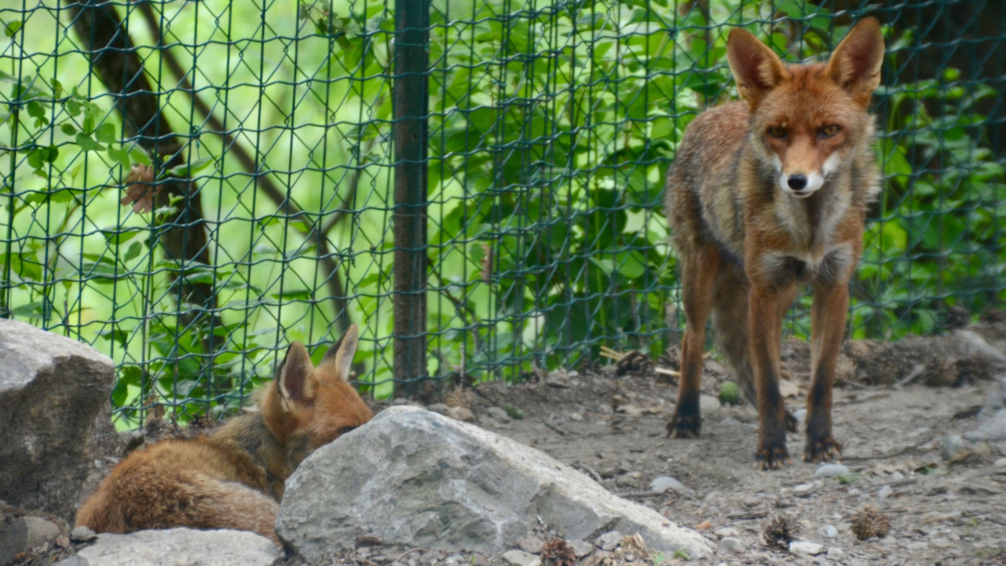Photo n° 7 de l'avis de Sébastien.i fait le 24/06/2017 à 20:20