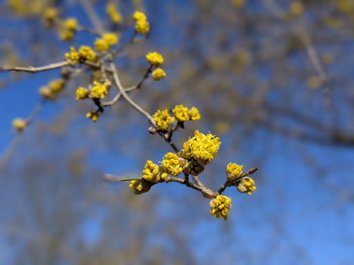 State Park «Monmouth Battlefield State Park», reviews and photos, 16 Business Route 33, Manalapan Township, NJ 07726, USA