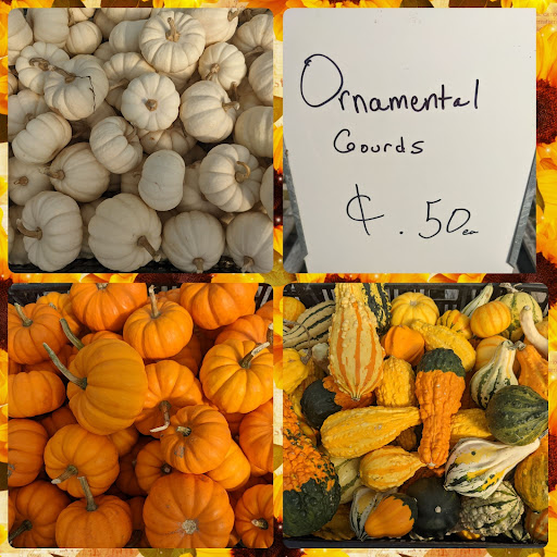 Wholesale Plant Nursery «Garden Fantasy», reviews and photos, 43250 Tyler Rd, Belleville, MI 48111, USA