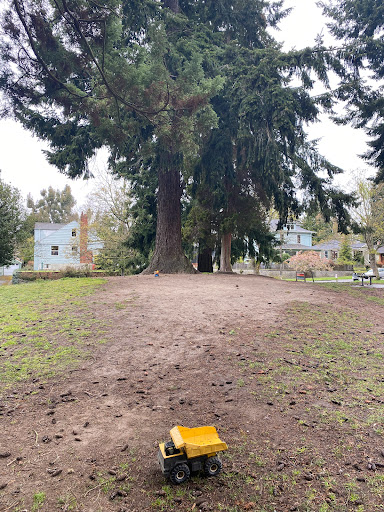 Park «Salmon Bay Park», reviews and photos, 2001 NW Canoe Pl, Seattle, WA 98117, USA