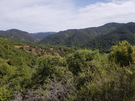 Coffee Shop «Shoreline Coffee Shop», reviews and photos, 1235 S Main St, Lakeport, CA 95453, USA