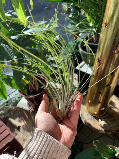 Florist «Hudson Florist», reviews and photos, 741 Bergen Ave, Jersey City, NJ 07306, USA