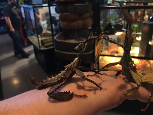 Pet Store «The Pet Works», reviews and photos, 407 4th Ave E, Olympia, WA 98501, USA