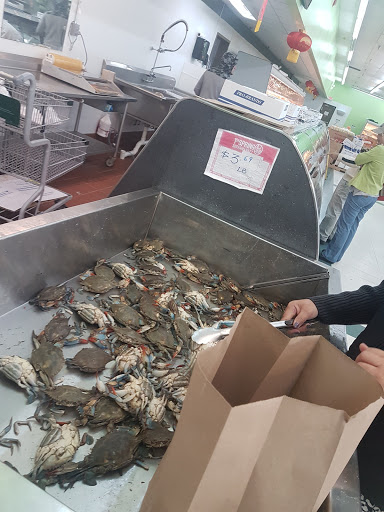 Grocery Store «1st Spring Supermarket», reviews and photos, 10681 E Colonial Dr, Orlando, FL 32817, USA