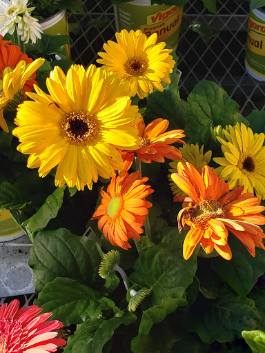 Home Improvement Store «The Home Depot», reviews and photos, 43900 Ice House Terrace, Fremont, CA 94538, USA