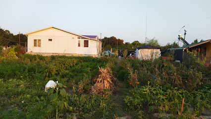 Mr. Yellowhead Garden